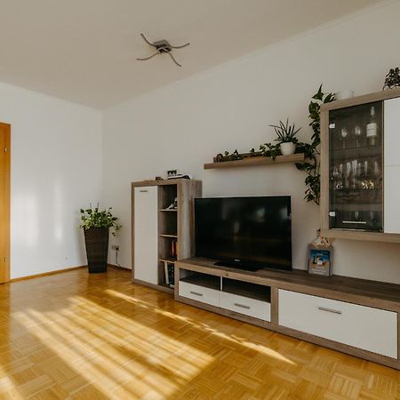 Grosse Ferienwohnung Burgenland آيزنشتات المظهر الخارجي الصورة